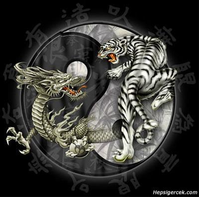 ying et yang